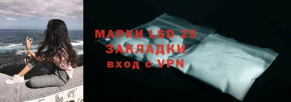 молекула духа Ладушкин