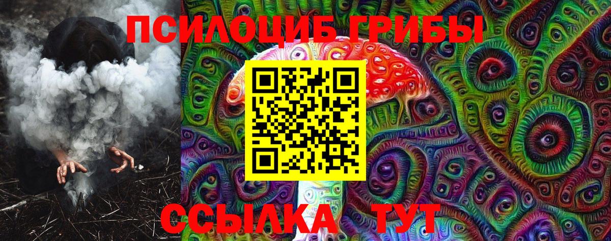 Магадан  Псилоцибиновые грибы Psilocybe  Вход с VPN 