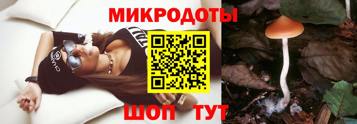 Псилоцибиновые грибы мицелий Магадан